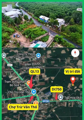 Bất động sản tại Bình Dương - ảnh 1
