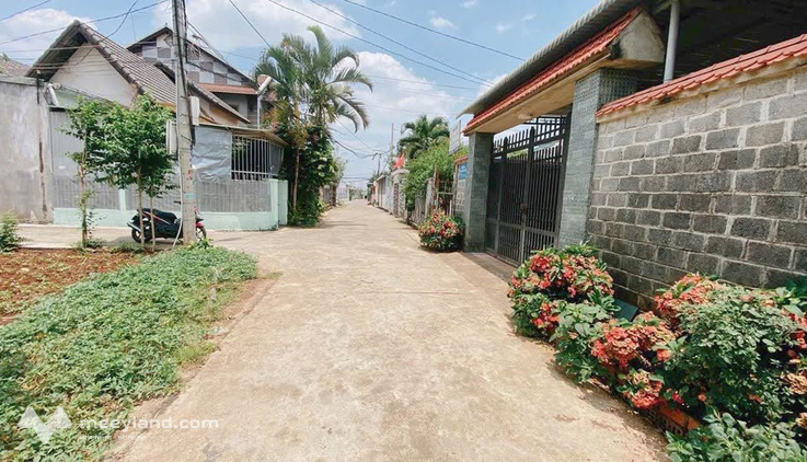 Bất động sản tại Đắk Lắk - ảnh 1