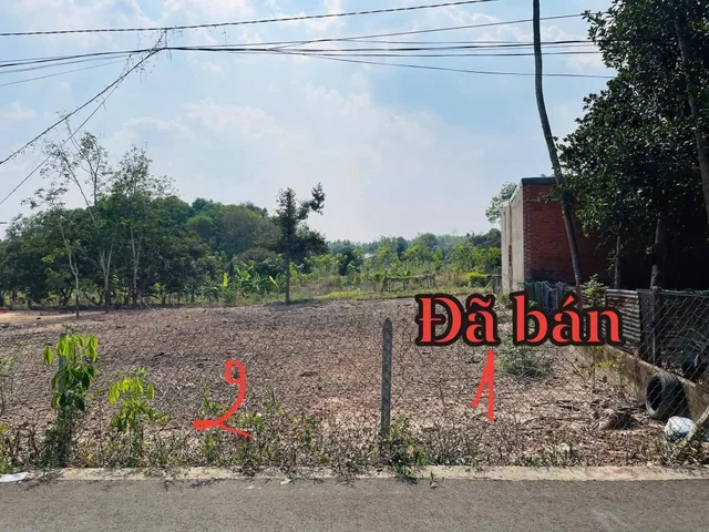 Bất động sản tại Bình Dương - ảnh 1