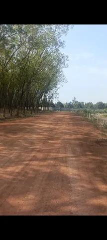 Bất động sản tại Bình Dương - ảnh 1