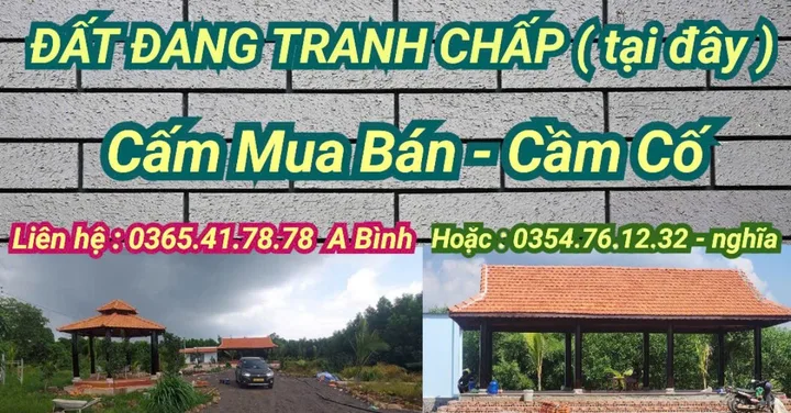 Bất động sản tại Bà Rịa - Vũng Tàu - ảnh 1