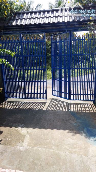 Bất động sản tại Long An - ảnh 1