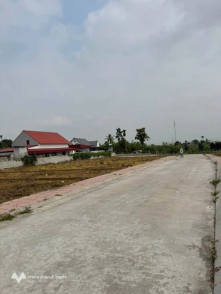 Bất động sản tại Phú Thọ - ảnh 1
