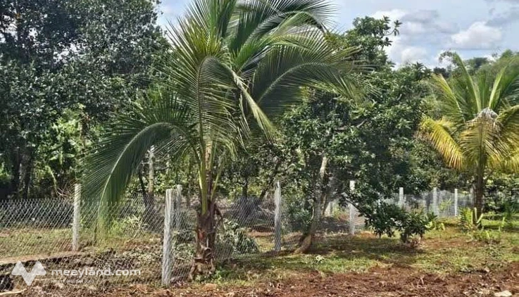Bất động sản tại Đắk Lắk - ảnh 1