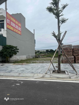 Bất động sản tại Hà Nam - ảnh 1