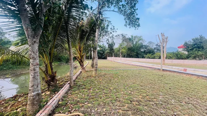 Bất động sản tại Phú Thọ - ảnh 1