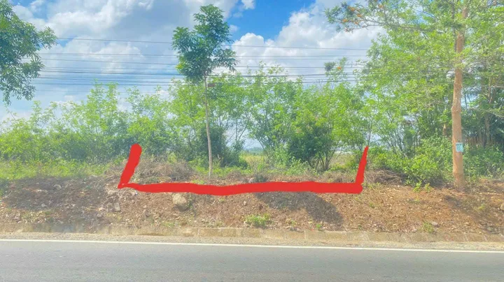 Bất động sản tại Lâm Đồng - ảnh 1