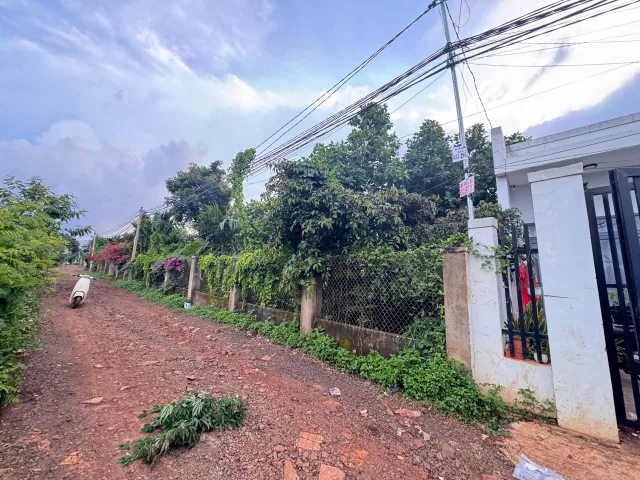 Bất động sản tại Đắk Lắk - ảnh 1