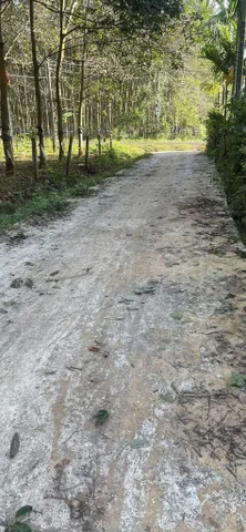 Bất động sản tại Đắk Lắk - ảnh 1