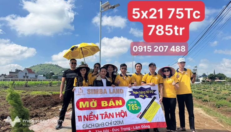 Bất động sản tại Lâm Đồng - ảnh 1