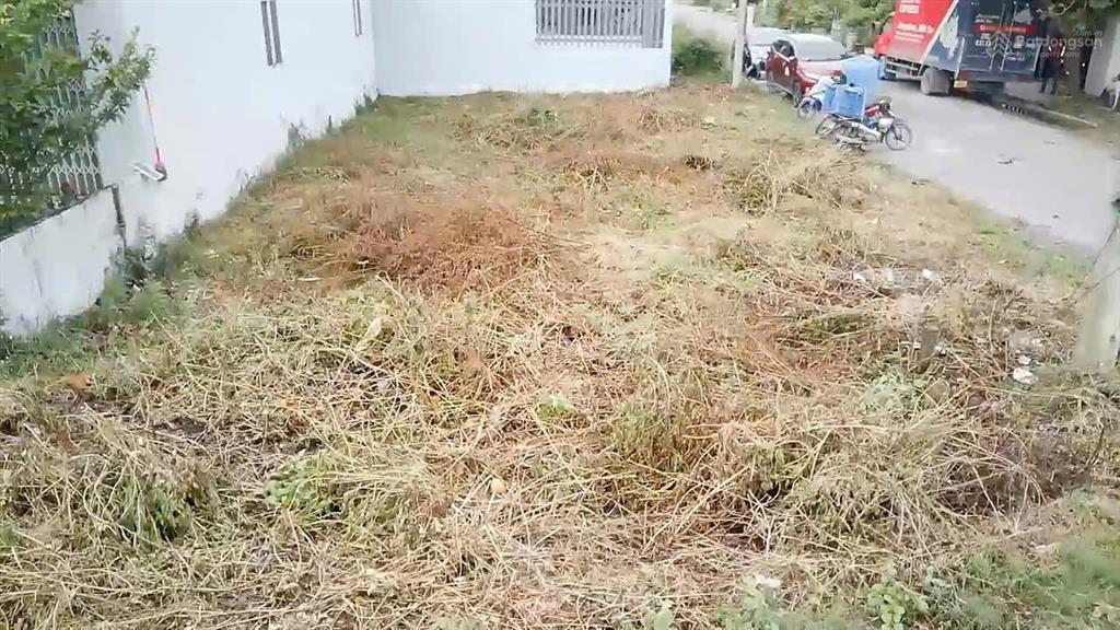 Bất động sản tại Long An - ảnh 1