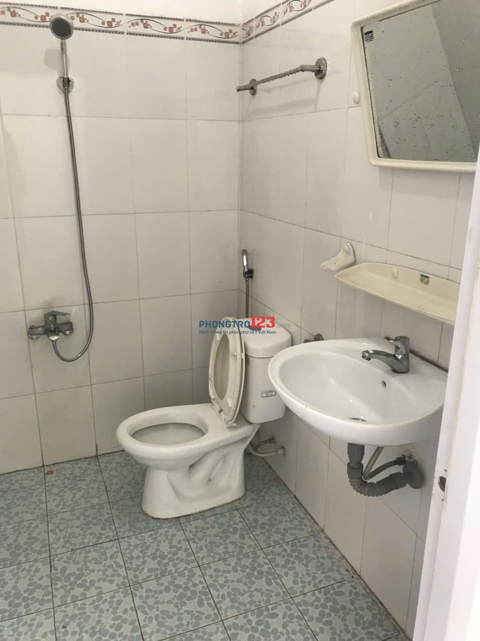 Bất động sản tại TP. Hồ Chí Minh - ảnh 1