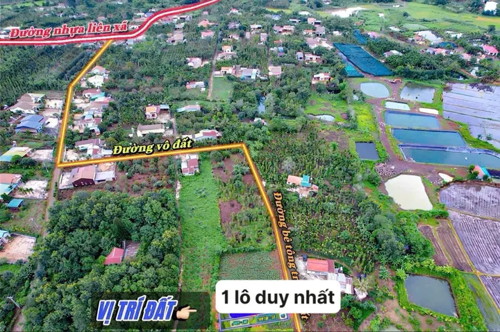 Bất động sản tại Đắk Lắk - ảnh 1