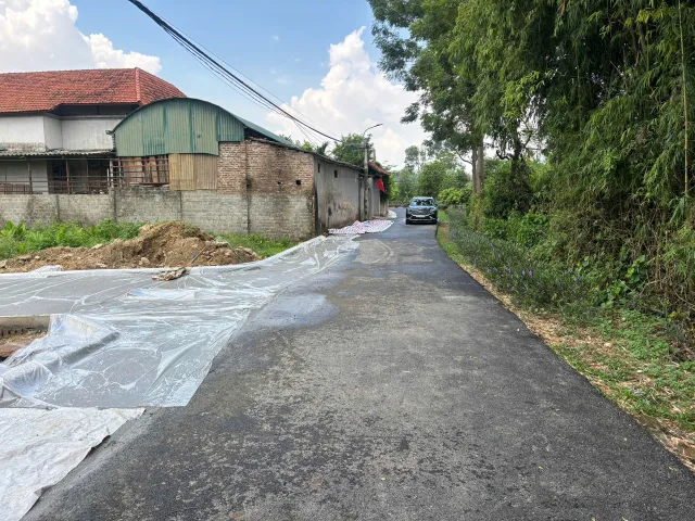 Bất động sản tại Phú Thọ - ảnh 1