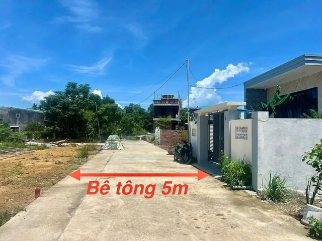 Bất động sản tại Đà Nẵng - ảnh 1