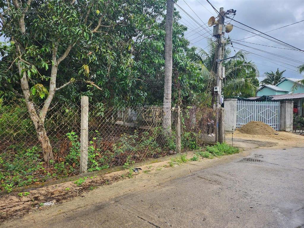 Bất động sản tại Khánh Hòa - ảnh 1