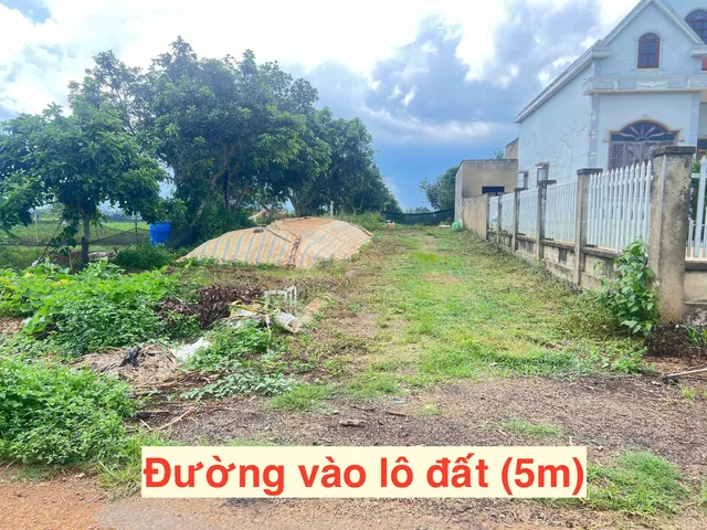 Bất động sản tại Lâm Đồng - ảnh 1