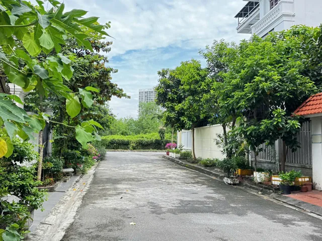 Bất động sản tại Hải Phòng - ảnh 1