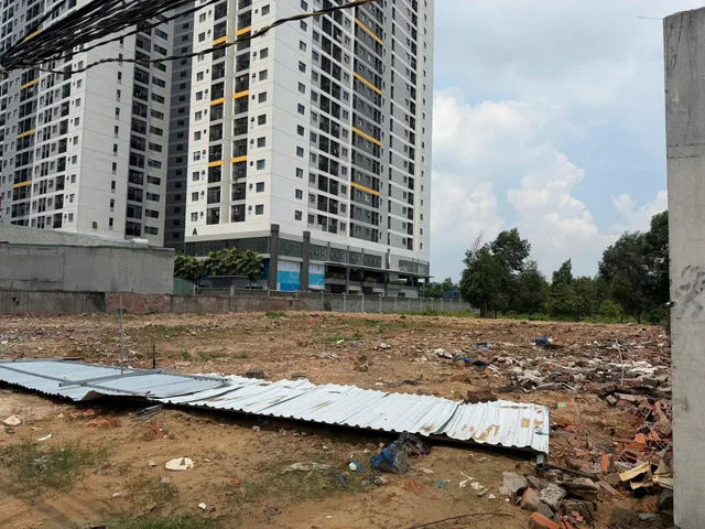 Bất động sản tại Bình Dương - ảnh 1