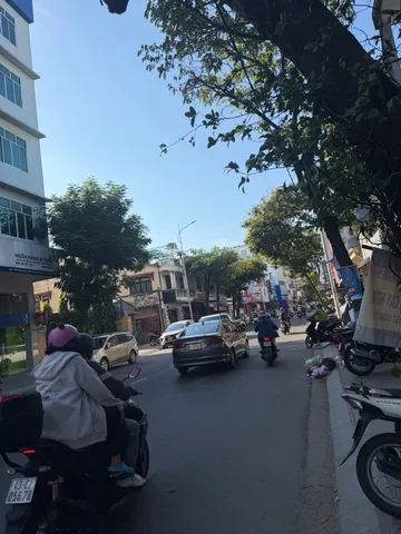 Bất động sản tại Đà Nẵng - ảnh 1