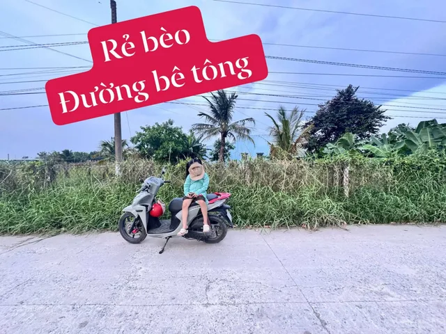 Bất động sản tại Tây Ninh - ảnh 1