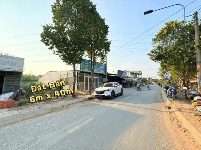 Bất động sản tại Long An - ảnh 1