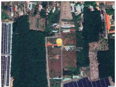 Bất động sản tại Bình Phước - ảnh 1