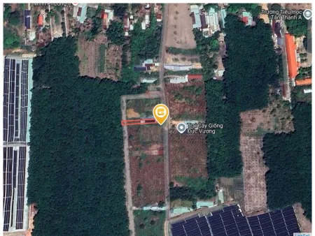 Bất động sản tại Bình Phước - ảnh 1