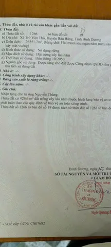 Bất động sản tại Bình Dương - ảnh 1