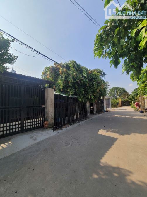 Bất động sản tại Bình Dương - ảnh 1