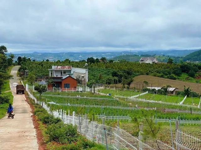 Bất động sản tại Lâm Đồng - ảnh 1