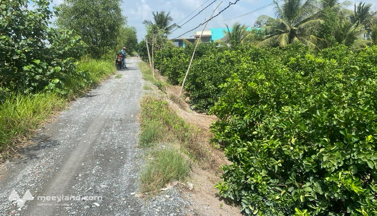 Bất động sản tại Long An - ảnh 1