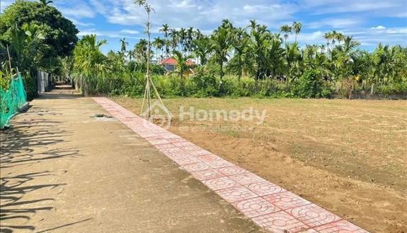 Bất động sản tại Quảng Ngãi - ảnh 1