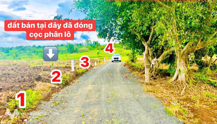 Bất động sản tại Đắk Lắk - ảnh 1