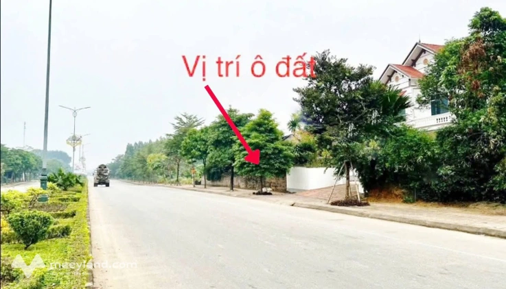 Bất động sản tại Vĩnh Phúc - ảnh 1