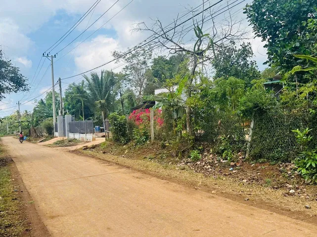 Bất động sản tại Đắk Lắk - ảnh 1