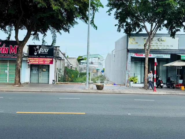 Bất động sản tại TP. Hồ Chí Minh - ảnh 1