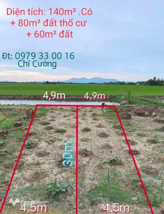 Bất động sản tại An Giang - ảnh 1