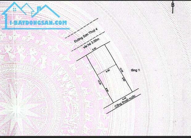Bất động sản tại Đà Nẵng - ảnh 1