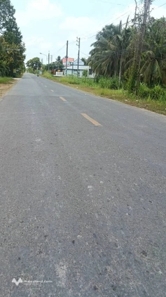 Bất động sản tại Bến Tre - ảnh 1