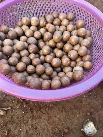 Bất động sản tại Lâm Đồng - ảnh 1