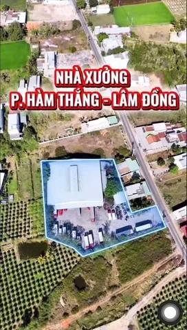 Bất động sản tại Lâm Đồng - ảnh 1