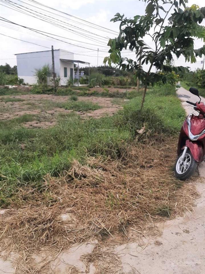 Bất động sản tại Long An - ảnh 1