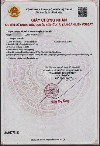 Bất động sản tại Bình Dương - ảnh 1