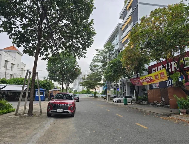 Bất động sản tại Bình Dương - ảnh 1