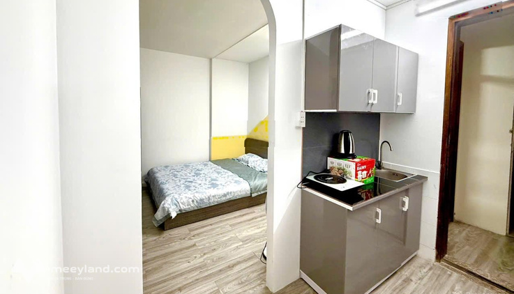 Bất động sản tại TP. Hồ Chí Minh - ảnh 1