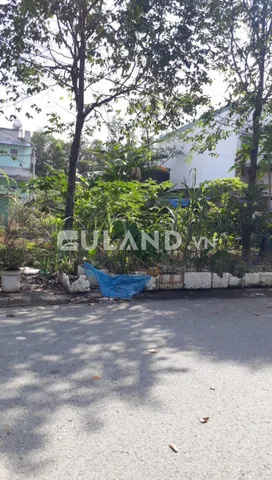 Bất động sản tại Bình Dương - ảnh 1