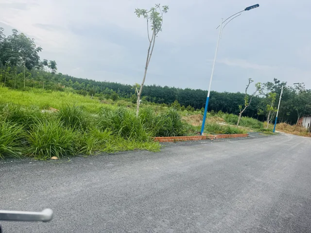 Bất động sản tại Đồng Nai - ảnh 1