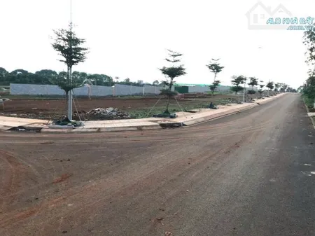 Bất động sản tại Đồng Nai - ảnh 1