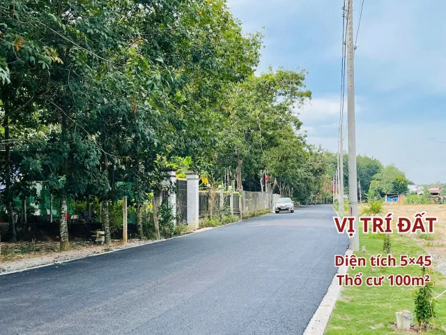 Bất động sản tại Bình Dương - ảnh 1